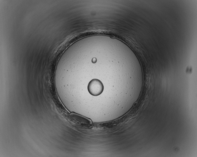 X0000115630256200911241653