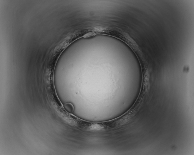 X0000115630257200911241653