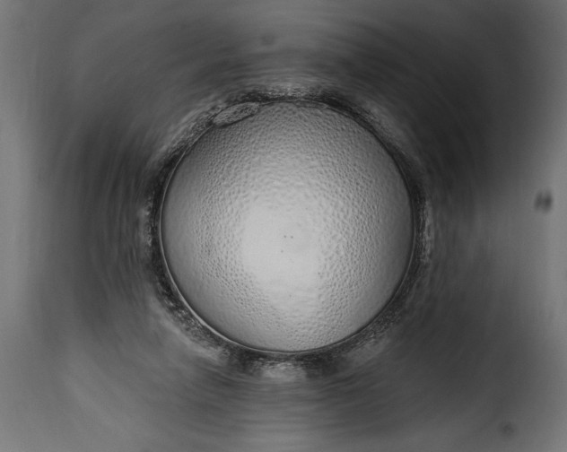 X0000115630258200911241653