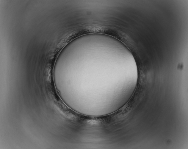 X0000115630259200911241653