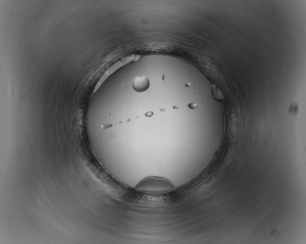 X0000115630260200911241653