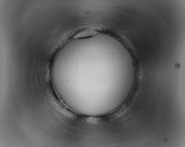 X0000115630261200911241653