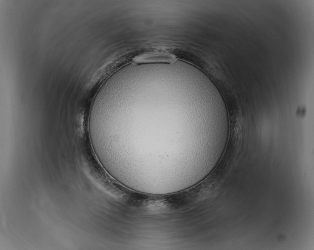 X0000115630262200911241653