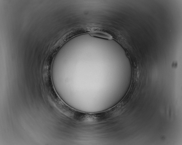 X0000115630263200911241653