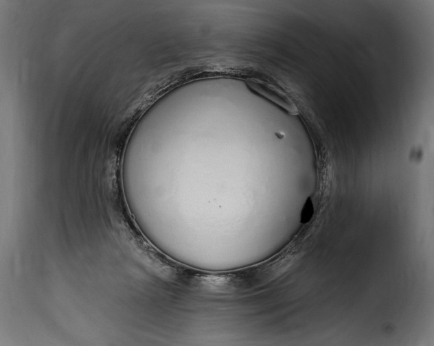 X0000115630265200911241653