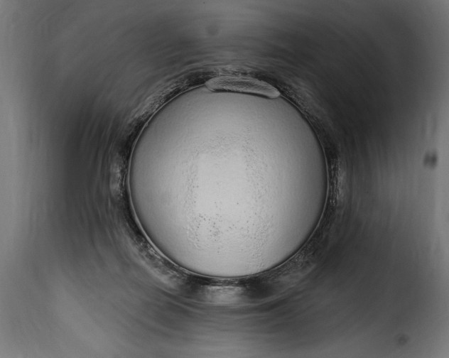 X0000115630266200911241653