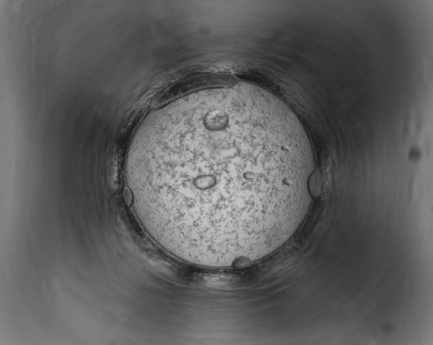 X0000115630268200911241654