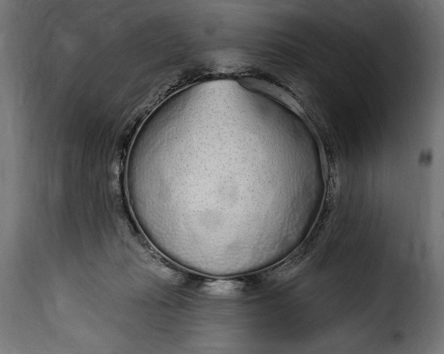 X0000115630269200911241654