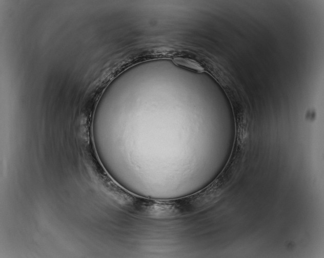 X0000115630270200911241654