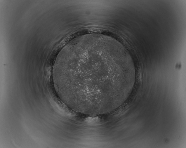 X0000115630271200911241654