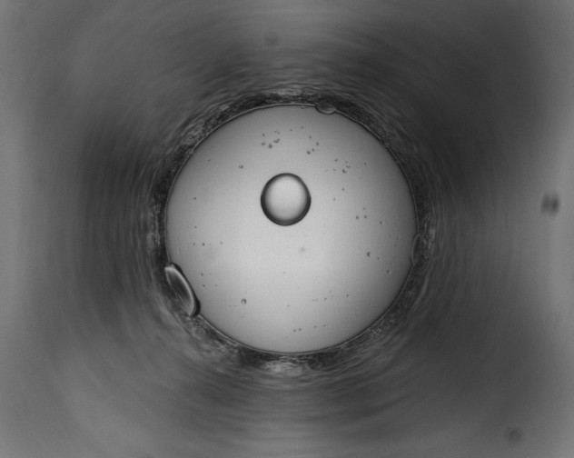 X0000115630272200911241654