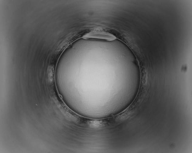 X0000115630273200911241654