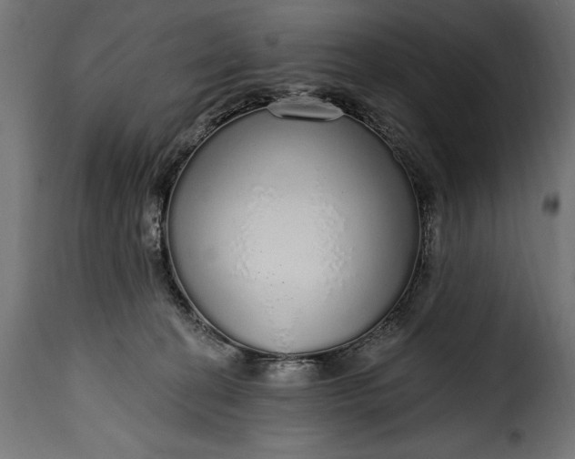 X0000115630274200911241654