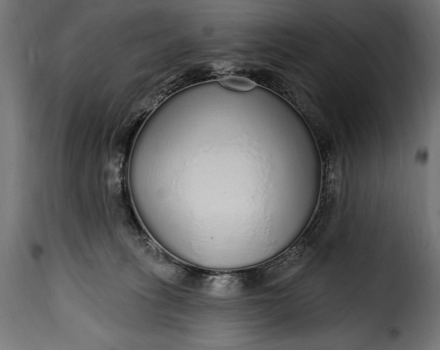 X0000115630275200911241654