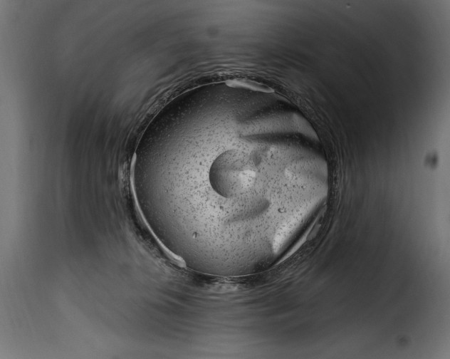 X0000115630276200911241654