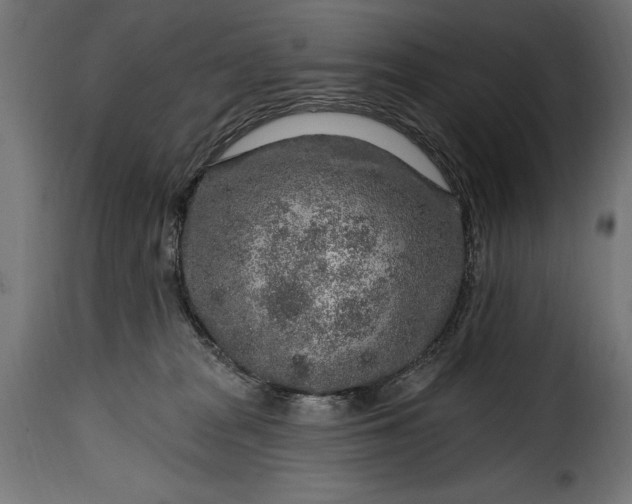 X0000115630277200911241654