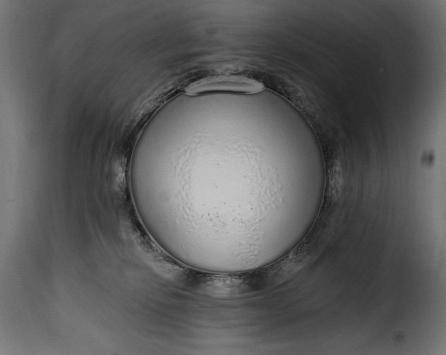 X0000115630278200911241654