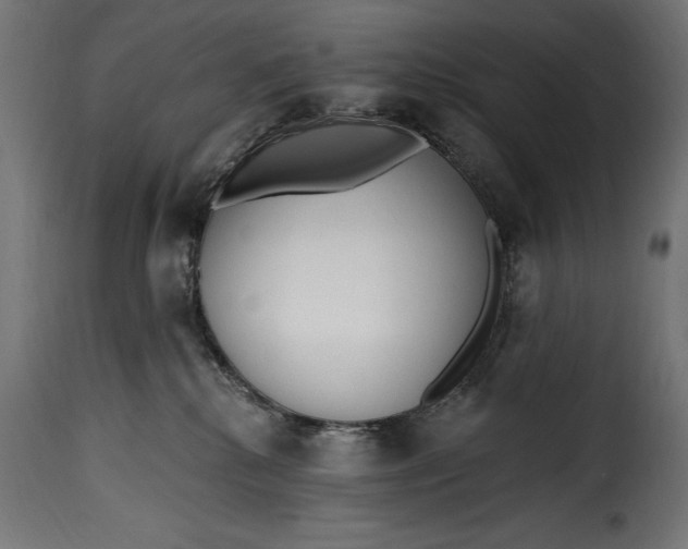 X0000115630280200911241654