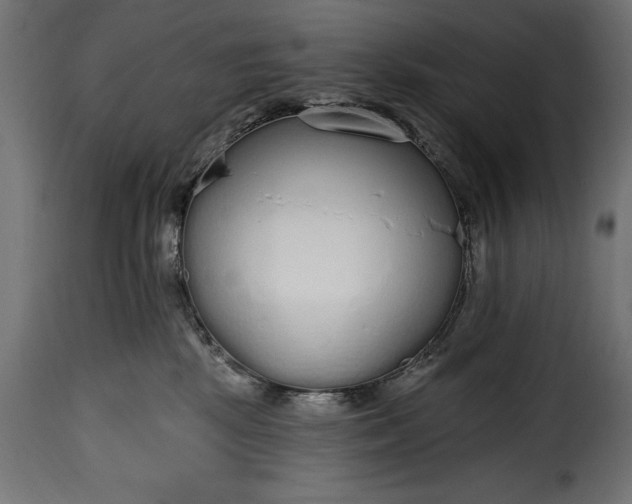 X0000115630281200911241654