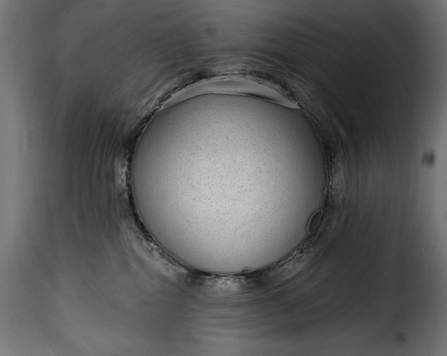 X0000115630282200911241654