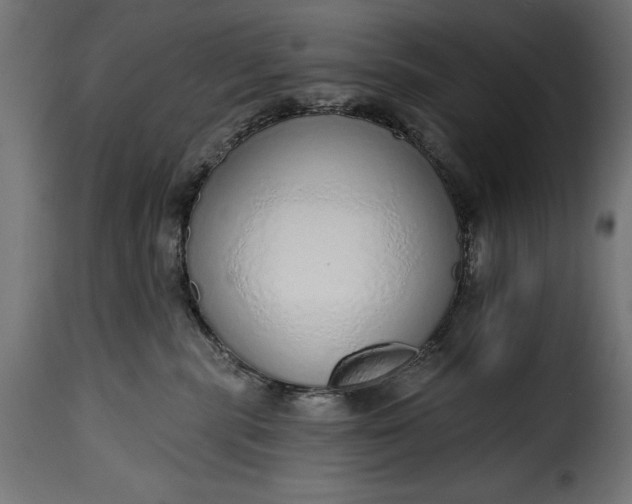 X0000115630283200911241654