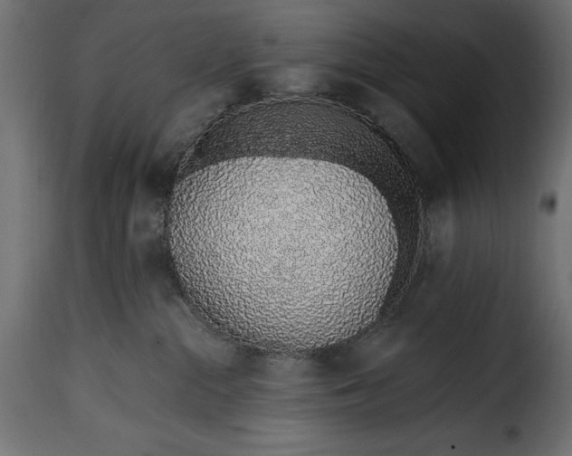 X0000115630284200911241654