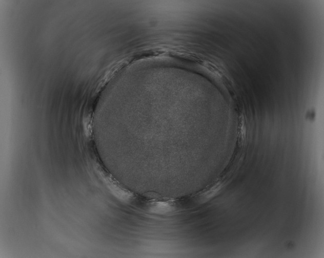 X0000115630285200911241654