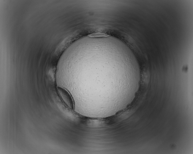 X0000115630286200911241654