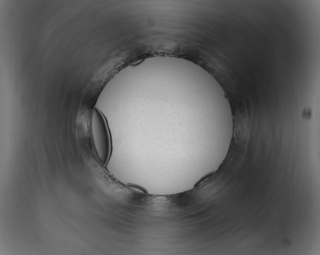 X0000115630287200911241654