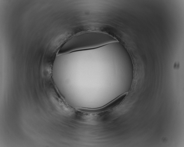 X0000115630288200911241654