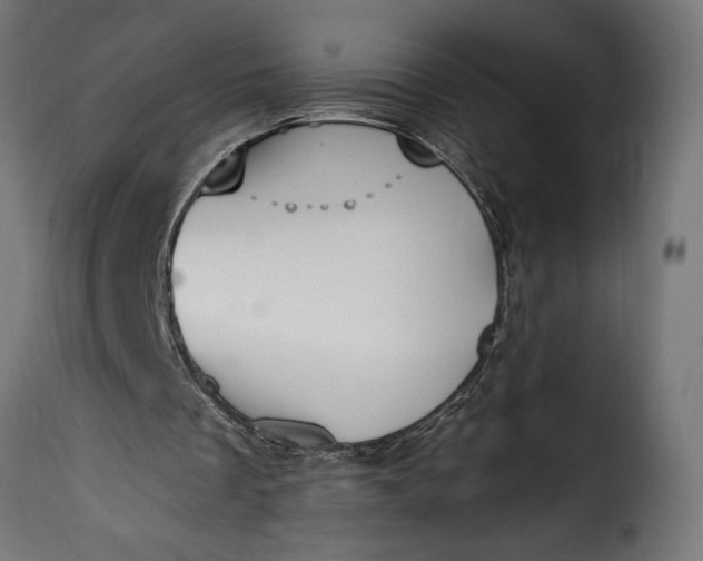 X0000115630289200911241653