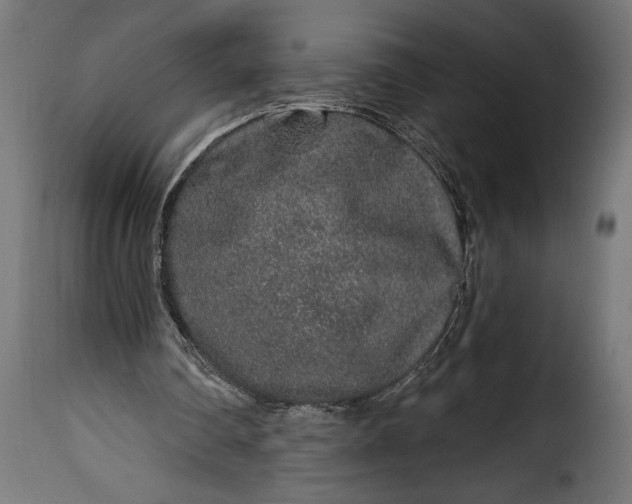 X0000115630290200911241653