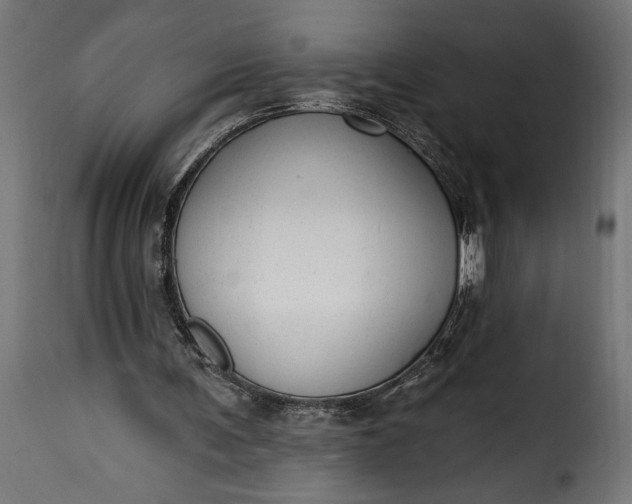 X0000115630291200911241653