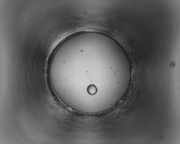 X0000115630292200911241653