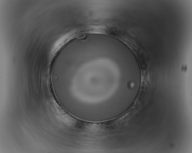 X0000115630293200911241653