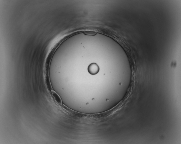 X0000115630294200911241653