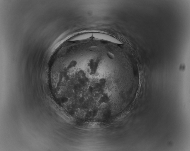 X0000115630295200911241653