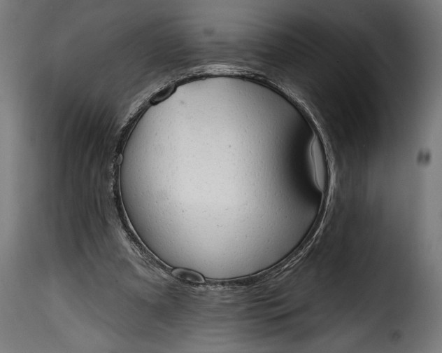 X0000115630297200911241653