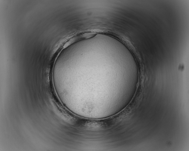 X0000115630299200911241653