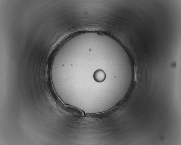 X0000115630300200911241653