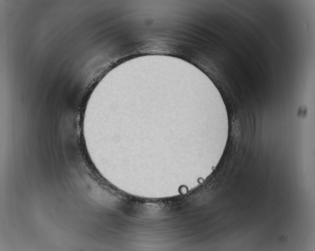 X0000115630302200911241653