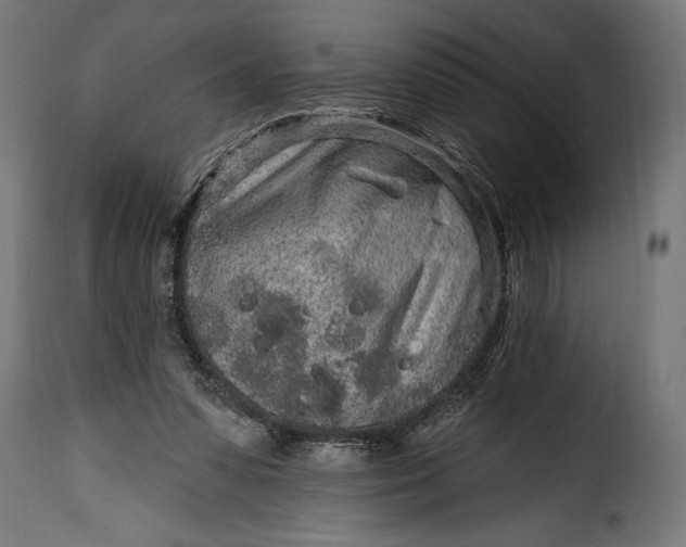 X0000115630303200911241653