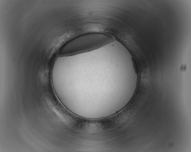 X0000115630304200911241653