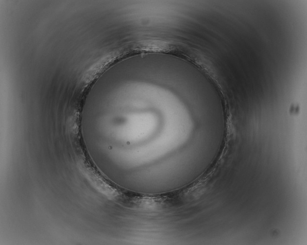 X0000115630305200911241653