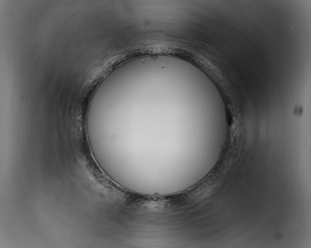 X0000115630306200911241653