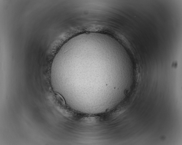 X0000115630307200911241653