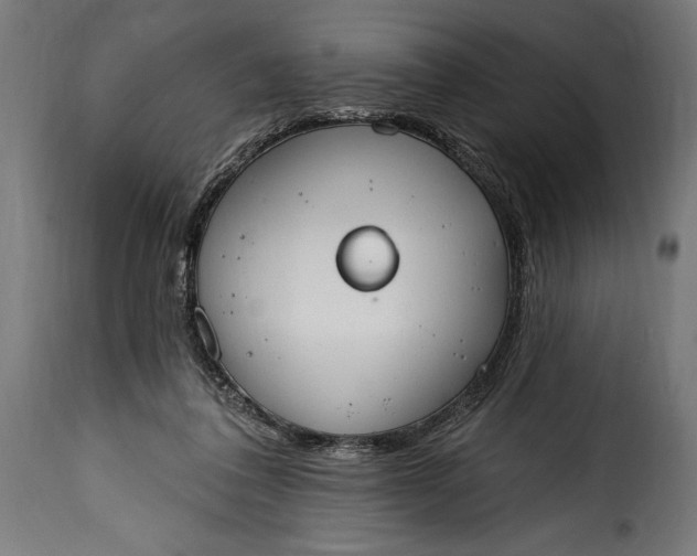 X0000115630308200911241653