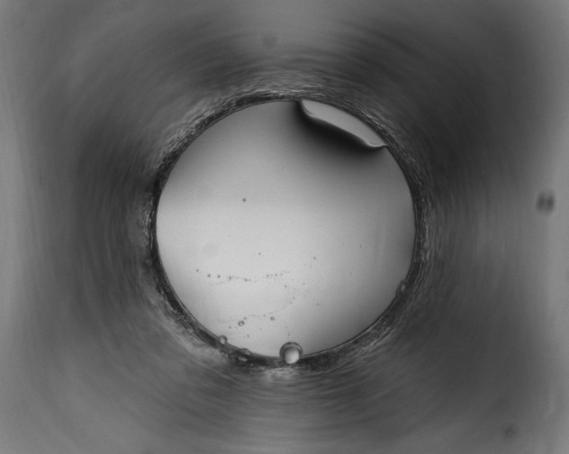 X0000115630309200911241653