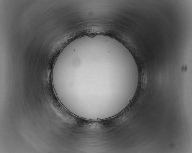 X0000115630310200911241653