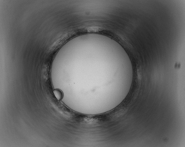 X0000115630311200911241653